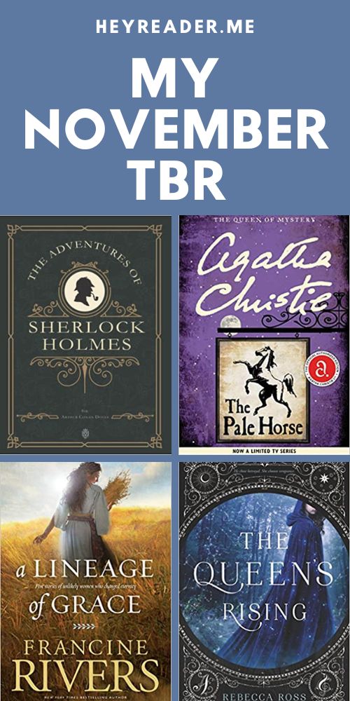 It snowed so here's my November TBR!